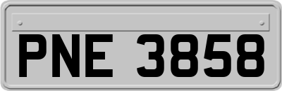 PNE3858