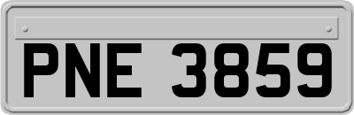 PNE3859