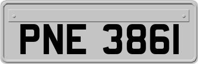 PNE3861