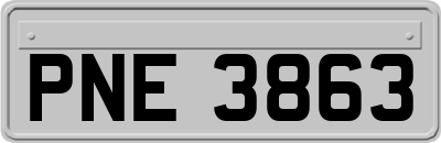PNE3863