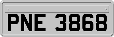 PNE3868