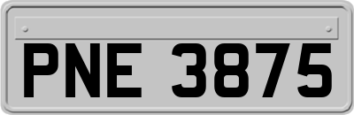 PNE3875