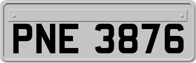 PNE3876
