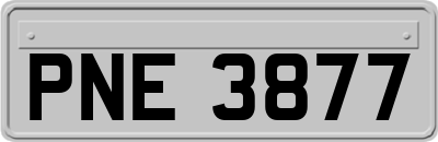 PNE3877