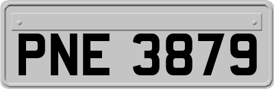 PNE3879