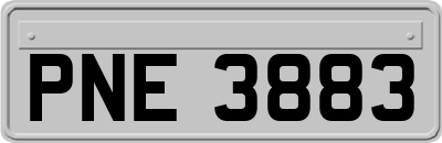 PNE3883