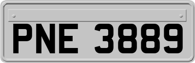 PNE3889