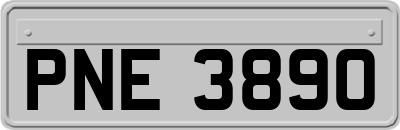 PNE3890
