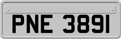 PNE3891