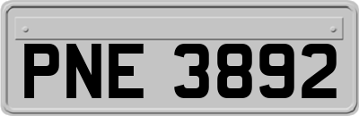 PNE3892