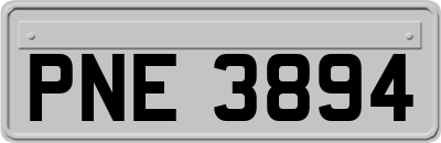 PNE3894
