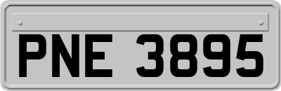 PNE3895
