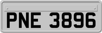 PNE3896