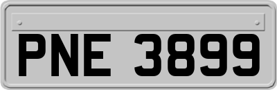 PNE3899