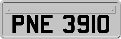 PNE3910