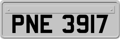 PNE3917