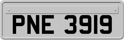 PNE3919