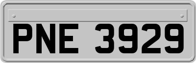 PNE3929