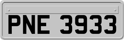 PNE3933