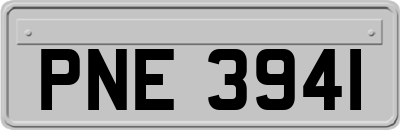 PNE3941