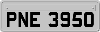 PNE3950