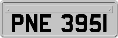 PNE3951