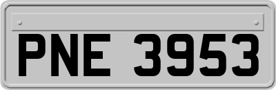 PNE3953