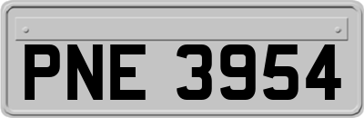 PNE3954