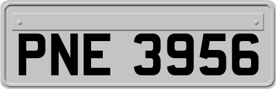 PNE3956