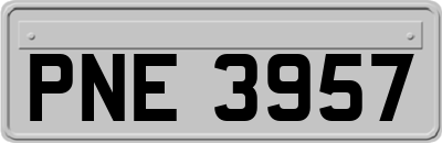PNE3957