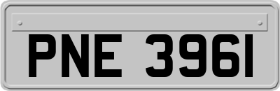 PNE3961