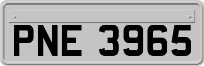 PNE3965