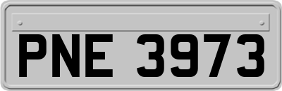PNE3973
