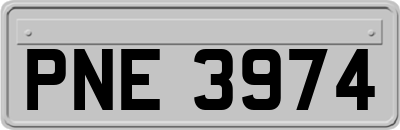PNE3974