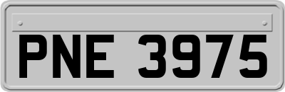PNE3975