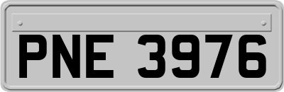 PNE3976