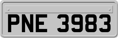 PNE3983