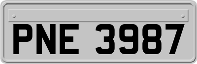 PNE3987