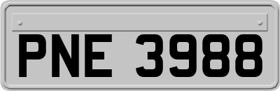 PNE3988