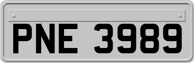 PNE3989