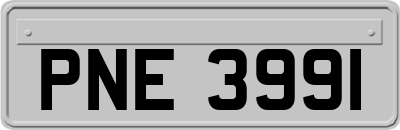 PNE3991