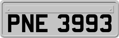 PNE3993