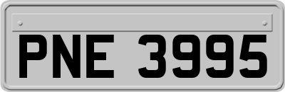 PNE3995