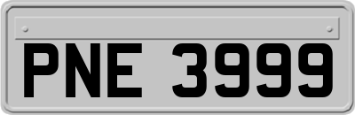 PNE3999