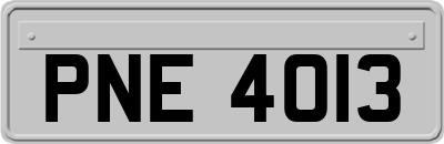 PNE4013