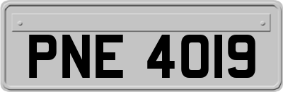 PNE4019