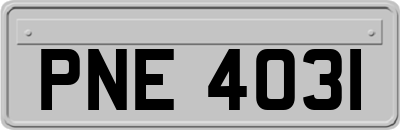 PNE4031