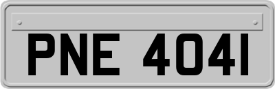PNE4041