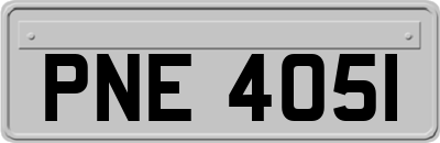 PNE4051