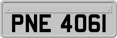PNE4061